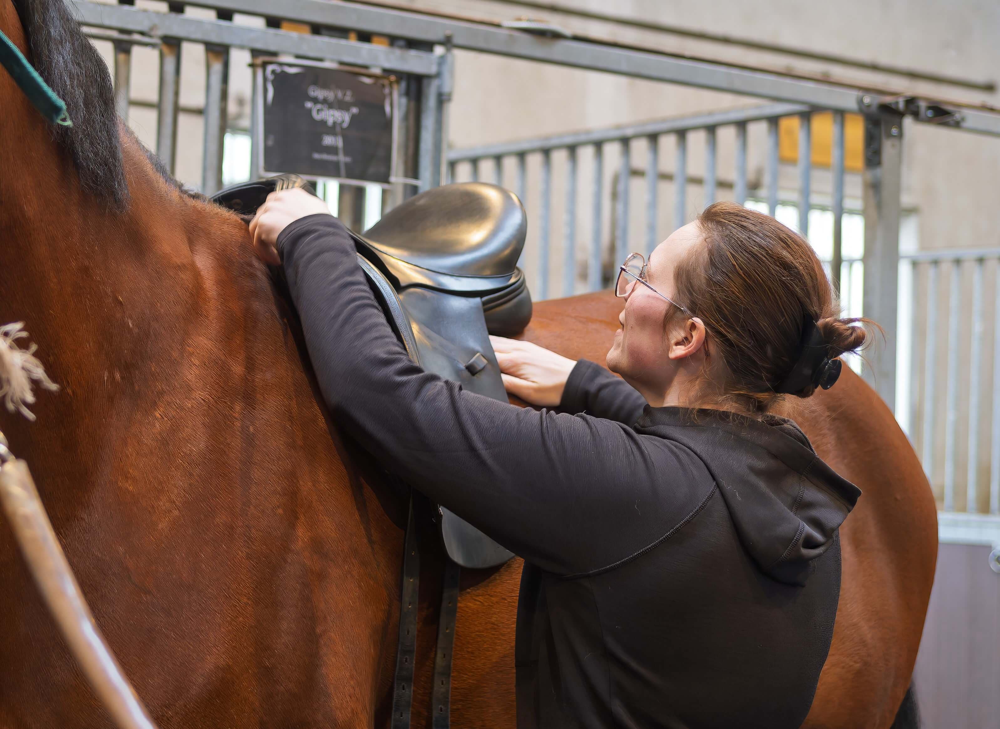 Saddle Check & Fitting