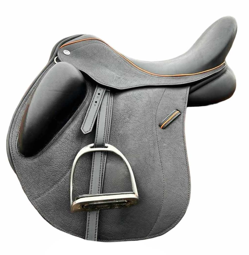 Peerless dressage