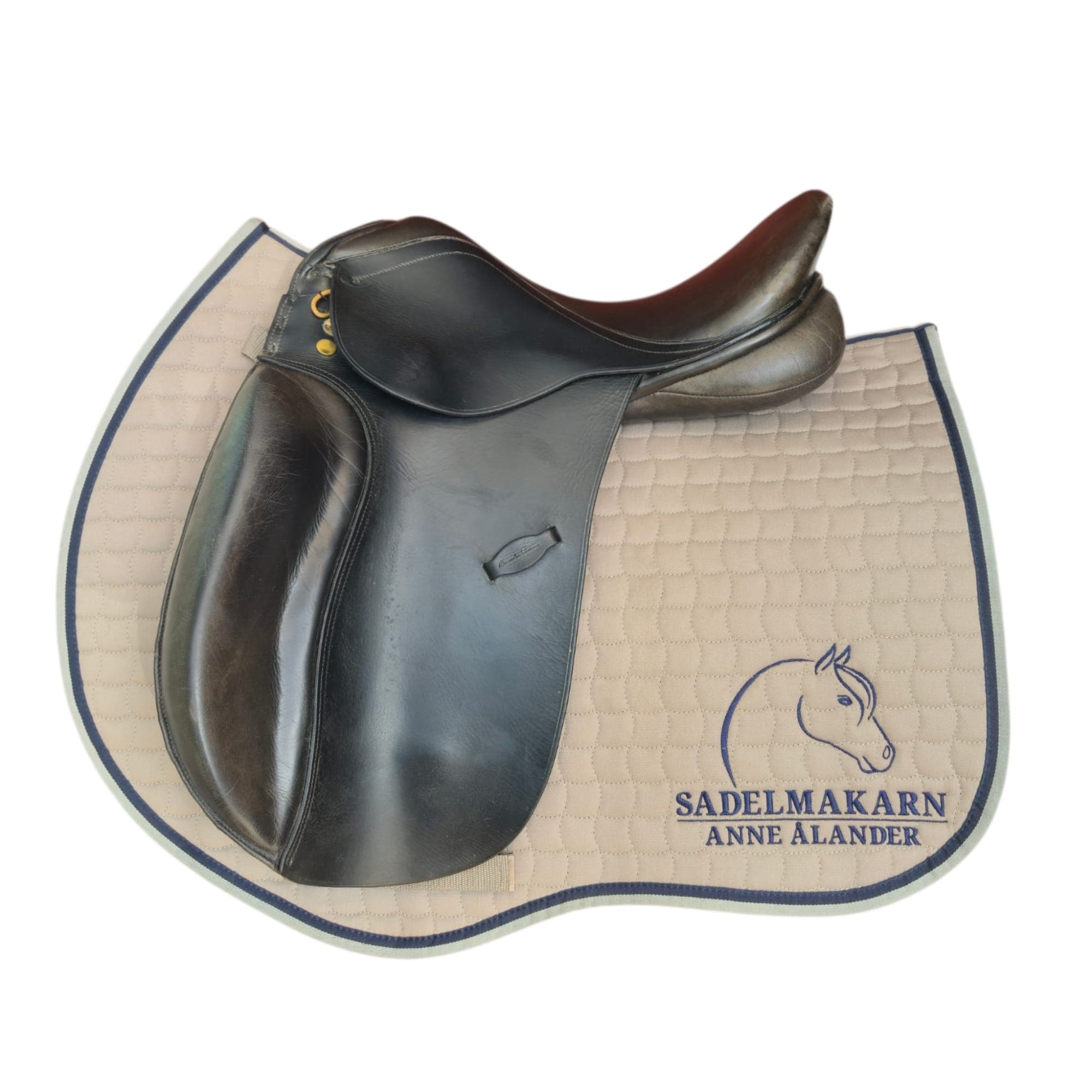 Santa Cruz dressage 16"